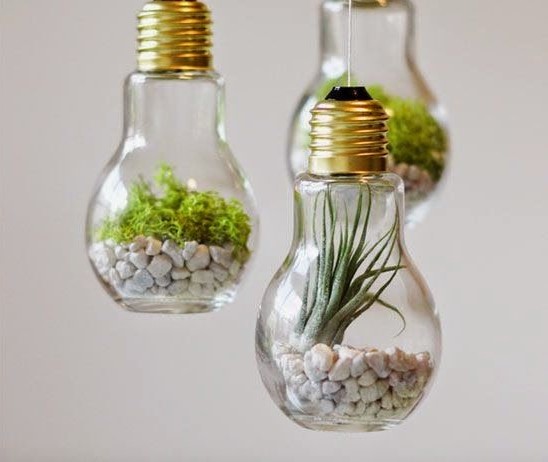 7 Mesmerizing Terrariums To Decorate The Living Room