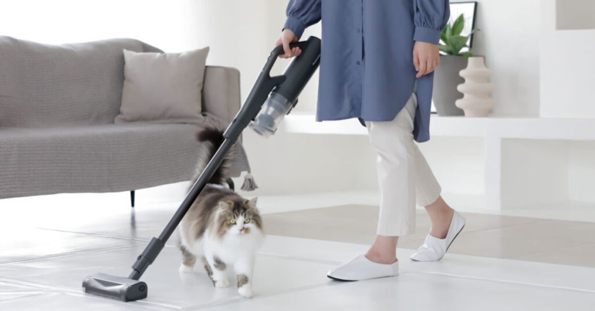 Panasonic cordless best sale vacuum review