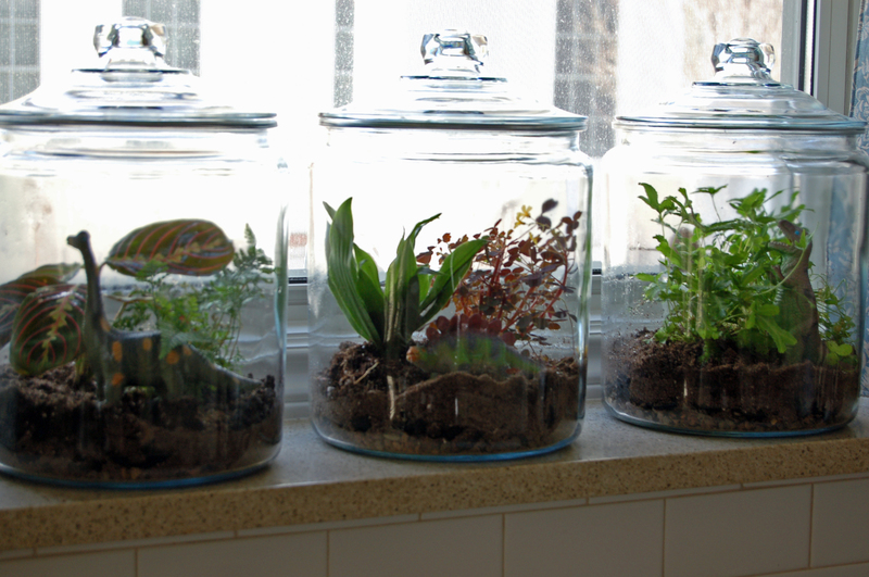 terrariums-decoration